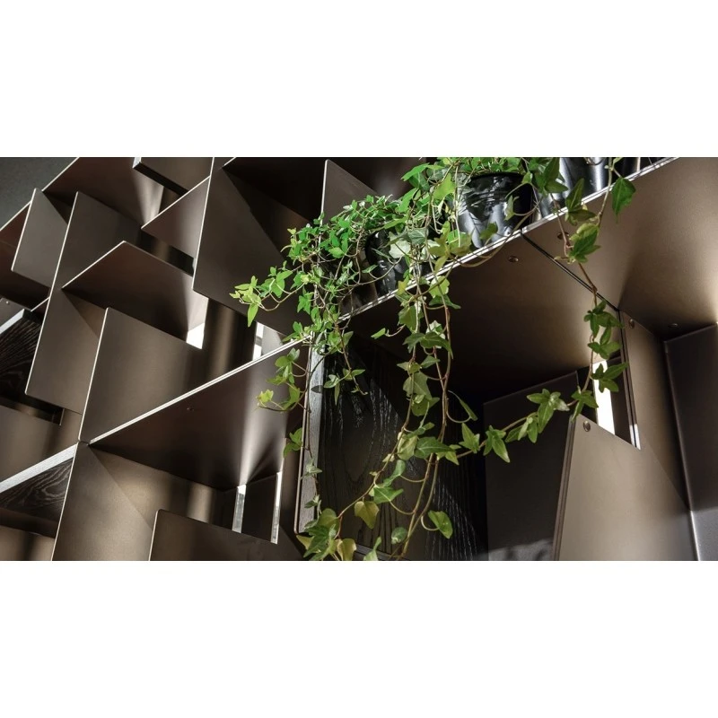 Libreria Hong Kong Cantori 8 Libreria Hong Kong Cantori - immagine 6