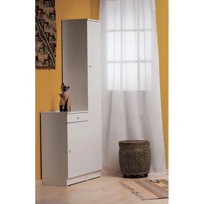 Mobile Alto Colonna 1 Anta Art.313 5 Mobile Alto Colonna 1 Anta Art.313 - immagine 3