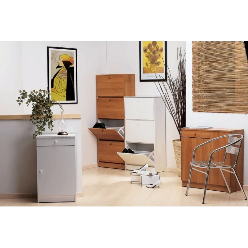 Mobile Scarpiera Con Anta E Cassetto Art. 222 4 Mobile Scarpiera Con Anta E Cassetto Art. 222 - immagine 2