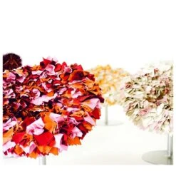 Poltroncina Bouquet Moroso 11 Poltroncina Bouquet Moroso -Arredare Moderno poltroncina bouquet moroso 2