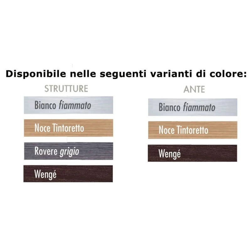 Armadio Scarpiera 40 Paia Art. 749 8 Armadio Scarpiera 40 Paia Art. 749 - immagine 6