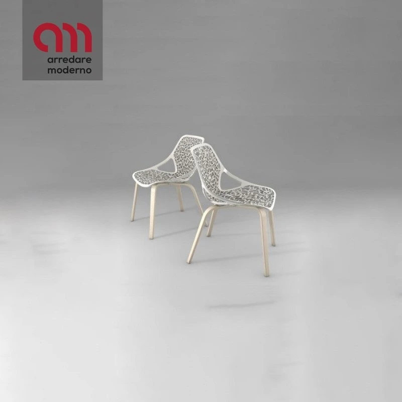 Sedia Caprice Casprini Wood 3 Sedia Caprice Casprini Wood