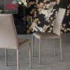Sedia Kay Cattelan Italia 1 Sedia Kay Cattelan Italia -Arredare Moderno sedia kay cattelan italia