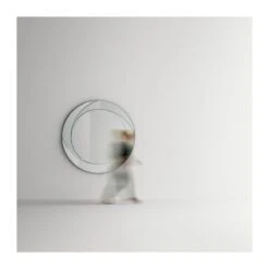 Specchio Whirl Tonelli Design 9 Specchio Whirl Tonelli Design -Arredare Moderno specchio whirl tonelli design 3