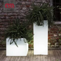 Vaso Cubotti Serralunga Illuminabile