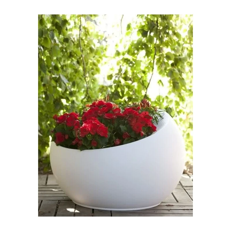 Vaso Uovo Di Colombo Serralunga Illuminabile 4 Vaso Uovo Di Colombo Serralunga Illuminabile - immagine 2